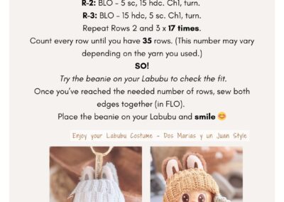 Labubu crochet free pattern for beanie hat