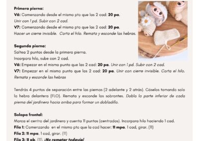 Overalls tutorial Spanish version in the process picture